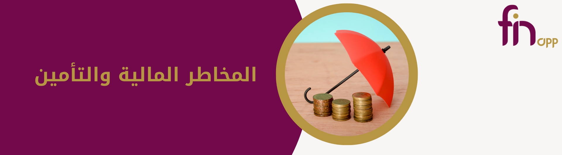 المخاطر المالية والتأمين